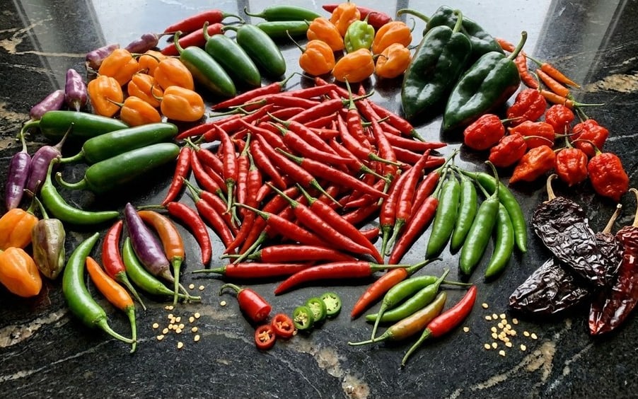 Dozens of fresh chillies of many varieties and colours arranged in a wide circle on dark granite, with a few sliced open in the centre