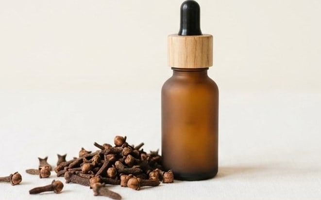 A small pile of whole dried cloves on a pale cloth beside an amber glass dropper bottle of clove oil