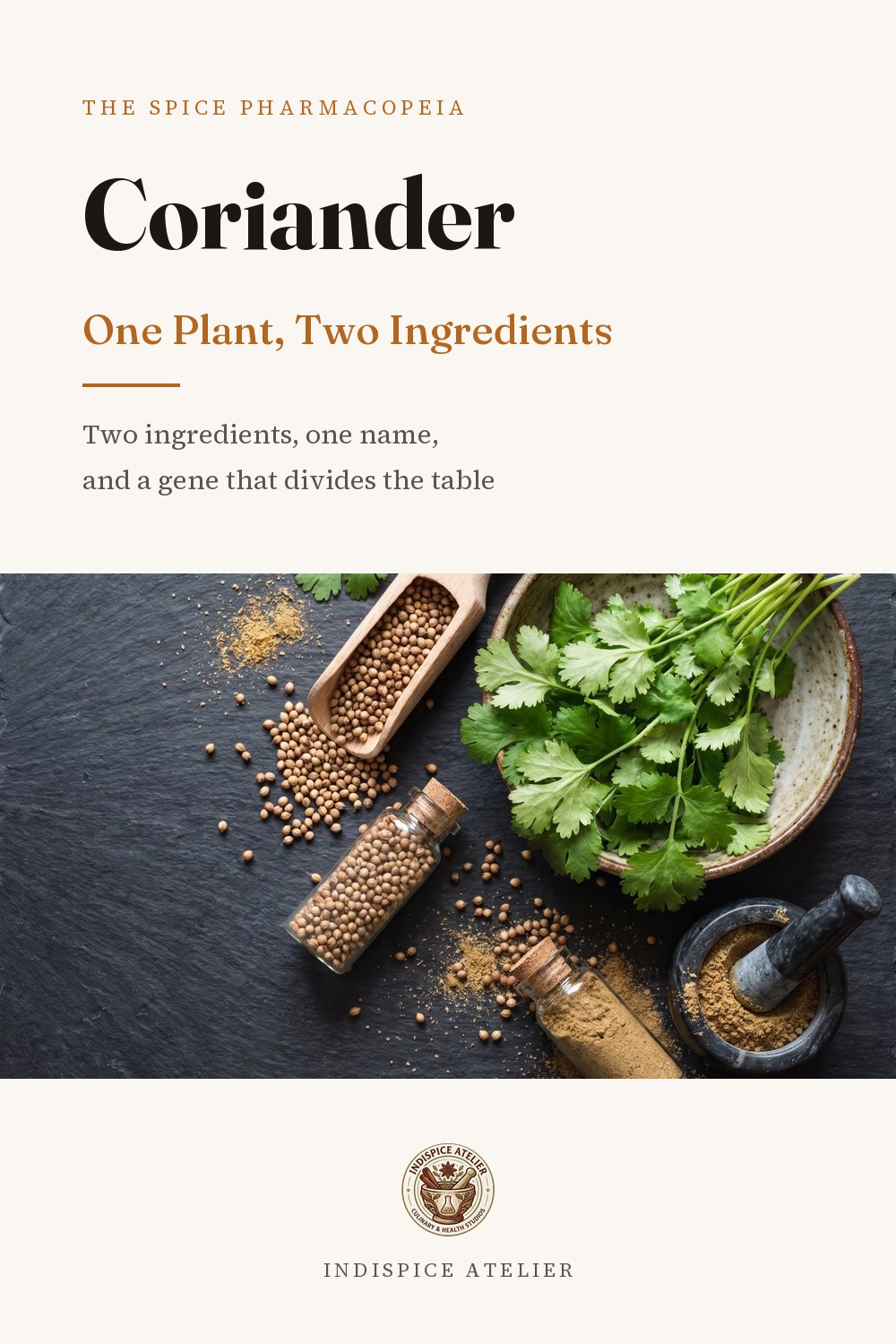 Cover of Coriander: One Plant, Two Ingredients