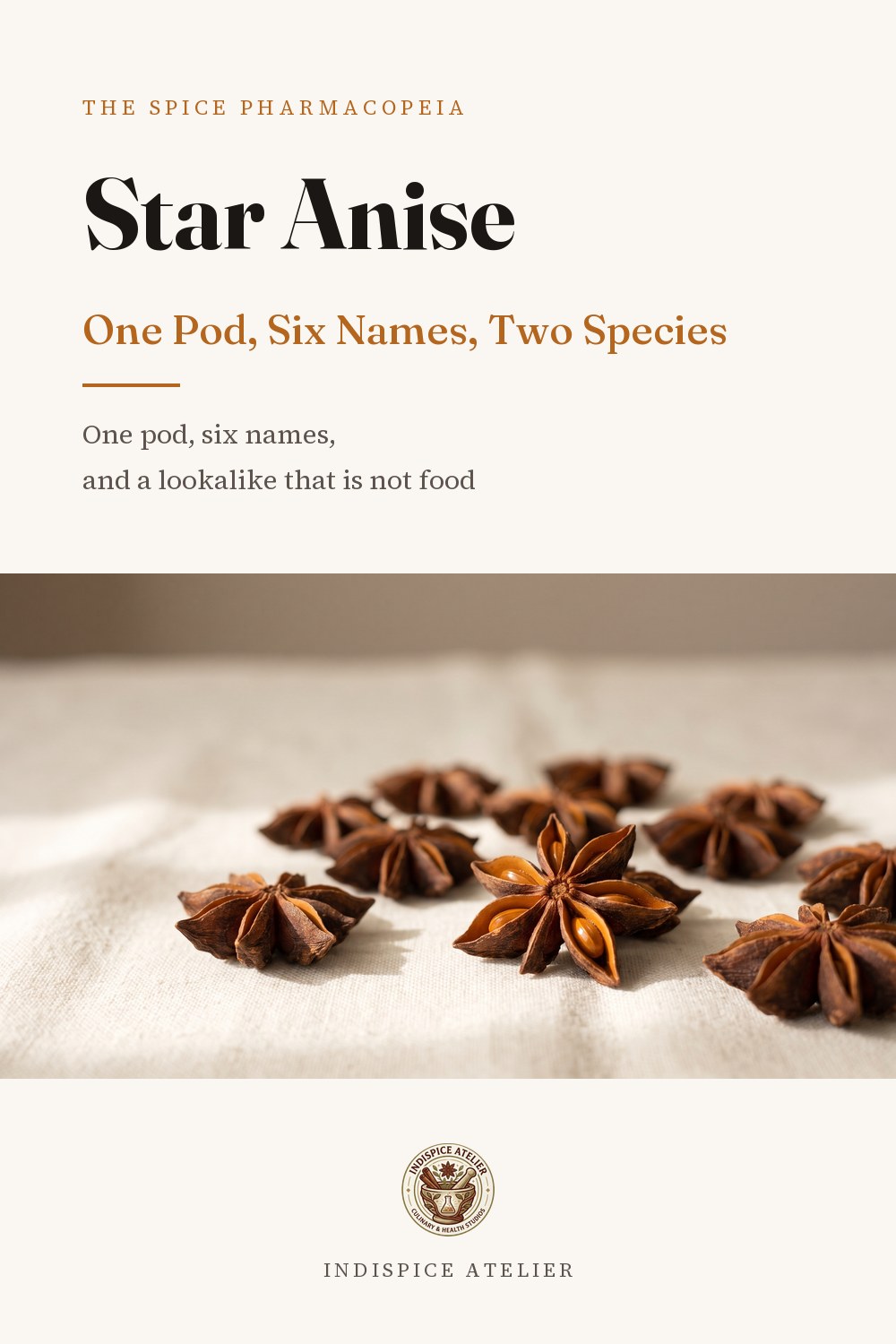 Cover of Star Anise: One Pod, Six Names, Two Species