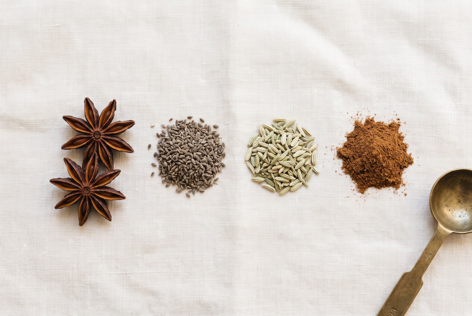 Four small heaps in a row on dark slate — whole star anise pods, tiny grey-brown aniseed, pale green fennel seed and reddish-brown five-spice powder — beside a plain metal measuring spoon